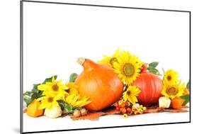 Autumn Decoration with Sunflowers and Hokkaido Pumpkins-IngridHS-Mounted Photographic Print