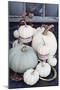 Autumn Decorations with Heirloom Mini White and Grey Pumpkins-Stephanie Frey-Mounted Photographic Print