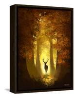 Autumn Deer-Anthony Salinas-Framed Stretched Canvas