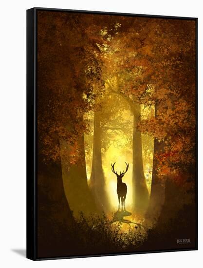 Autumn Deer-Anthony Salinas-Framed Stretched Canvas