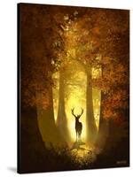 Autumn Deer-Anthony Salinas-Stretched Canvas