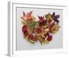 Autumn Delight-Bill Philip-Framed Giclee Print