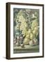 Autumn Delights-Henry Livens-Framed Giclee Print