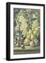 Autumn Delights-Henry Livens-Framed Giclee Print