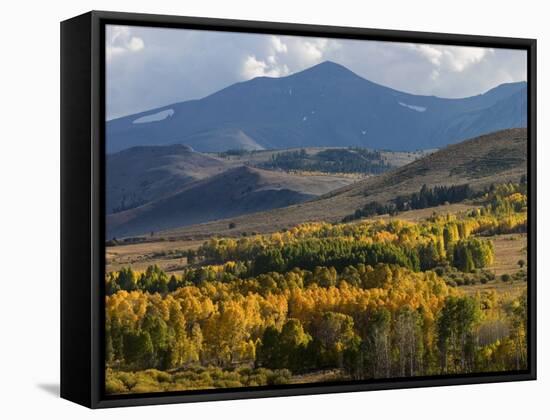 Autumn Descends on the Eastern Sierra Mountains-null-Framed Stretched Canvas
