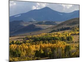 Autumn Descends on the Eastern Sierra Mountains-null-Mounted Photographic Print