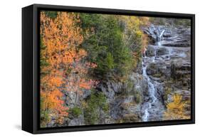 Autumn Design at Silver Cascades, New Hampshire-Vincent James-Framed Stretched Canvas