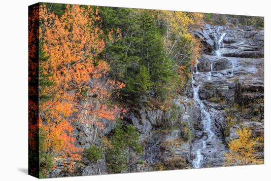 Autumn Design at Silver Cascades, New Hampshire-Vincent James-Stretched Canvas