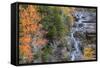 Autumn Design at Silver Cascades, New Hampshire-Vincent James-Framed Stretched Canvas