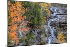 Autumn Design at Silver Cascades, New Hampshire-Vincent James-Mounted Photographic Print