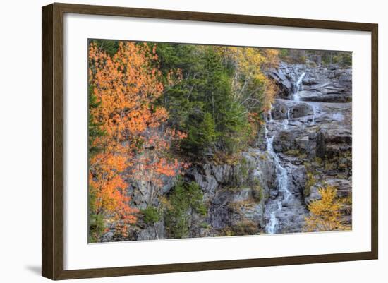 Autumn Design at Silver Cascades, New Hampshire-Vincent James-Framed Photographic Print