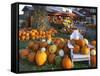 Autumn Display of Pumpkins New England, Maine, USA-Jaynes Gallery-Framed Stretched Canvas