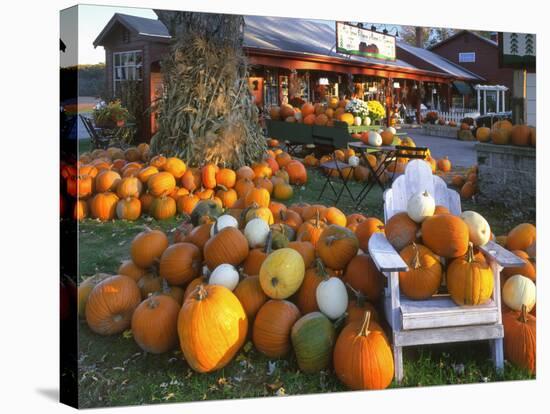 Autumn Display of Pumpkins New England, Maine, USA-Jaynes Gallery-Stretched Canvas