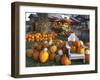 Autumn Display of Pumpkins New England, Maine, USA-Jaynes Gallery-Framed Premium Photographic Print