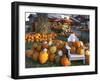 Autumn Display of Pumpkins New England, Maine, USA-Jaynes Gallery-Framed Premium Photographic Print