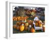 Autumn Display of Pumpkins New England, Maine, USA-Jaynes Gallery-Framed Premium Photographic Print