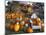 Autumn Display of Pumpkins New England, Maine, USA-Jaynes Gallery-Mounted Premium Photographic Print