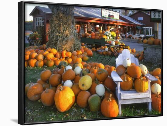 Autumn Display of Pumpkins New England, Maine, USA-Jaynes Gallery-Framed Photographic Print