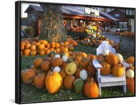 Autumn Display of Pumpkins New England, Maine, USA-Jaynes Gallery-Framed Photographic Print