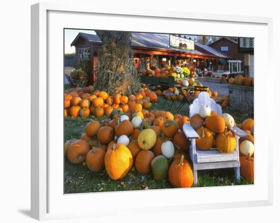 Autumn Display of Pumpkins New England, Maine, USA-Jaynes Gallery-Framed Photographic Print