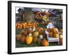 Autumn Display of Pumpkins New England, Maine, USA-Jaynes Gallery-Framed Photographic Print