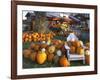 Autumn Display of Pumpkins New England, Maine, USA-Jaynes Gallery-Framed Photographic Print