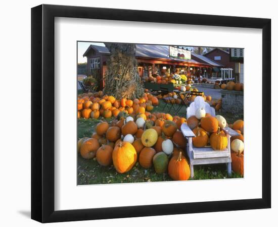 Autumn Display of Pumpkins New England, Maine, USA-Jaynes Gallery-Framed Photographic Print