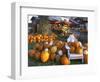 Autumn Display of Pumpkins New England, Maine, USA-Jaynes Gallery-Framed Photographic Print