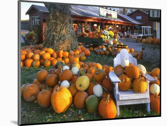 Autumn Display of Pumpkins New England, Maine, USA-Jaynes Gallery-Mounted Photographic Print