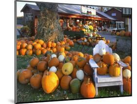 Autumn Display of Pumpkins New England, Maine, USA-Jaynes Gallery-Mounted Photographic Print