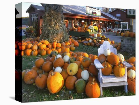 Autumn Display of Pumpkins New England, Maine, USA-Jaynes Gallery-Stretched Canvas