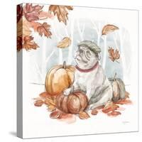 Autumn Dogs V-Mary Urban-Stretched Canvas