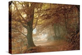 Autumn Dream-Toni Vila-Stretched Canvas