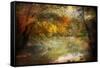 Autumn Dream-John Rivera-Framed Stretched Canvas