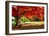 Autumn Dream-Philippe Sainte-Laudy-Framed Photographic Print