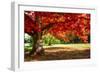 Autumn Dream-Philippe Sainte-Laudy-Framed Photographic Print