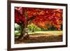 Autumn Dream-Philippe Sainte-Laudy-Framed Photographic Print