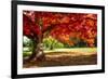 Autumn Dream-Philippe Sainte-Laudy-Framed Photographic Print