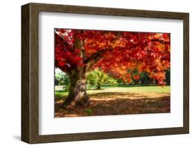 Autumn Dream-Philippe Sainte-Laudy-Framed Photographic Print