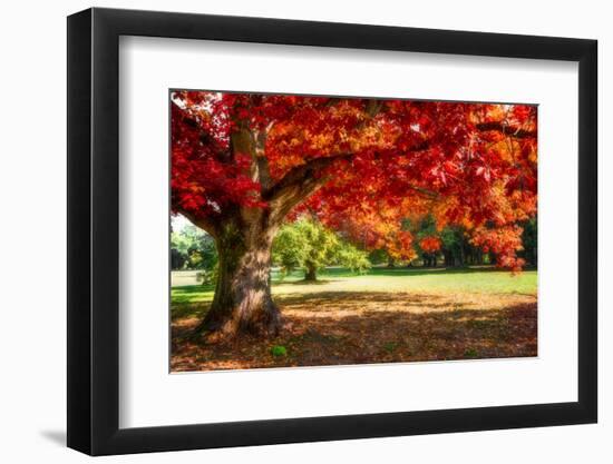 Autumn Dream-Philippe Sainte-Laudy-Framed Photographic Print