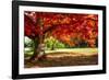 Autumn Dream-Philippe Sainte-Laudy-Framed Photographic Print