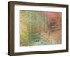 Autumn Dreams II-Doug Chinnery-Framed Photographic Print