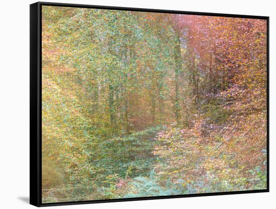 Autumn Dreams II-Doug Chinnery-Framed Stretched Canvas