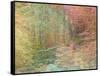 Autumn Dreams II-Doug Chinnery-Framed Stretched Canvas