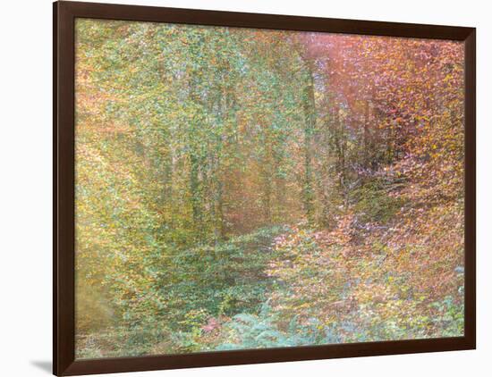 Autumn Dreams II-Doug Chinnery-Framed Photographic Print