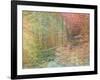 Autumn Dreams II-Doug Chinnery-Framed Photographic Print