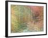 Autumn Dreams II-Doug Chinnery-Framed Photographic Print