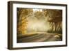 Autumn Drive-5fishcreative-Framed Giclee Print