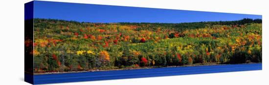 Autumn Eagle Lake, Acadia National Park, Maine, USA-null-Stretched Canvas