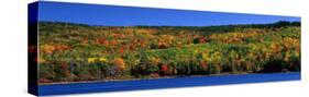 Autumn Eagle Lake, Acadia National Park, Maine, USA-null-Stretched Canvas